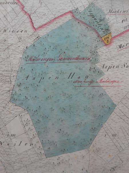 Mähringen EINSIEDEL Schwaikbrühl Jettenburg Grauer Kälber + Wolpert Geometer