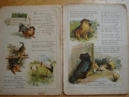 Elisabeth EBELING TROLL auf der Reise Meinhold Dresden 1895 Hund Karl Wagner RAR