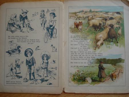 Elisabeth EBELING TROLL auf der Reise Meinhold Dresden 1895 Hund Karl Wagner RAR