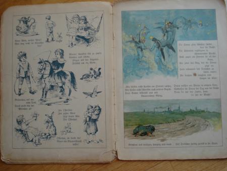 Elisabeth EBELING TROLL auf der Reise Meinhold Dresden 1895 Hund Karl Wagner RAR