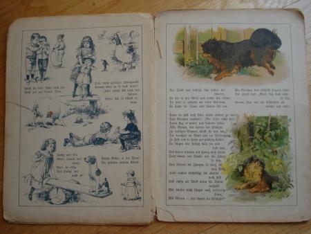 Elisabeth EBELING TROLL auf der Reise Meinhold Dresden 1895 Hund Karl Wagner RAR