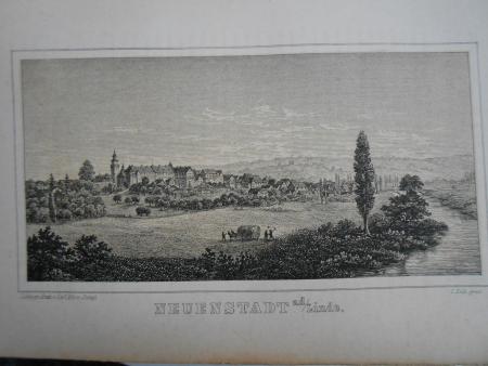 Beschreibung des Oberamts NECKARSULM Neuenstadt Möckmühl Kohlhammer Sttgt 1881 