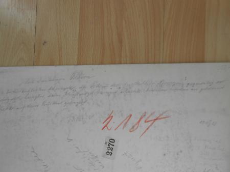 Schmidhammer Joachimstal München Admiral England Beatty ? Norwegen Esel JUGEND