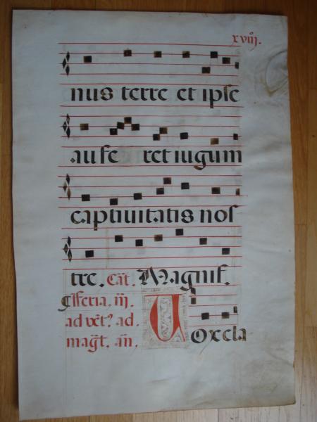 Noten Neumen Latein 1510 Johannes Täufer Antiphonar Dartmouth Hanover NH Markus