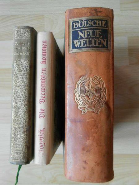 MAX HELD Friedrichshall Jagstfeld Heilbronn Eichendorff Sidwick Mundelsheim 1911