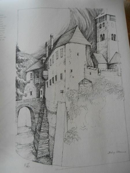 Rosenbusch Ulm Donau Passau Spitz Dürnstein Melk Schlögen Linz Aschach Ungarn