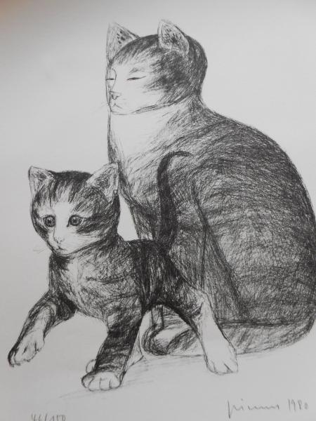 KATZE Hauskatze Kätzchen Felidae cat gatto chat Gerhard Grimm Grünsfeld 1980 sig