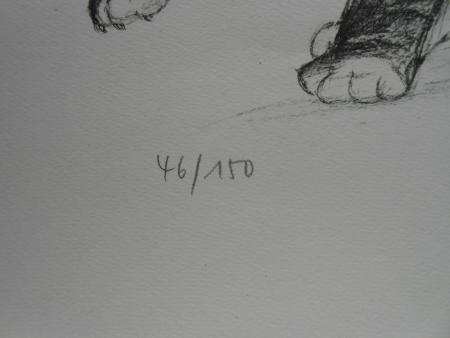 KATZE Hauskatze Kätzchen Felidae cat gatto chat Gerhard Grimm Grünsfeld 1980 sig