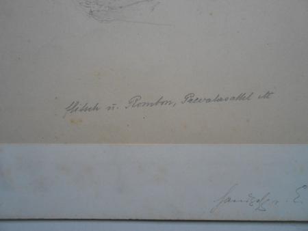 Constantin DAMIANOS FLITSCH Rombon Prevalasattel Wien Graz Freiburg Breisgau