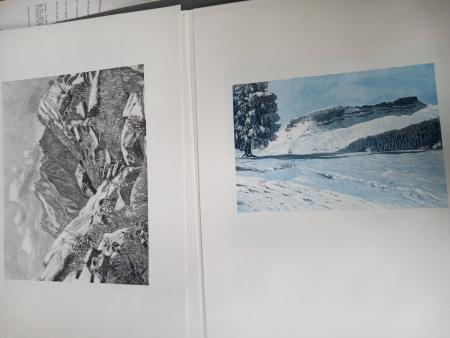 Julius Heilenmann Stuttgart seltene Holzstich-Mappe GIORA Hoch-IFEN Widderstein