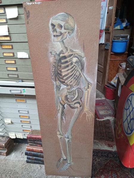 peisert lebensgroßes totenskelett skelett skeleton memento mori biese tübingen
