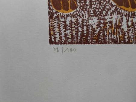 KATZE Hauskatze Kätzchen Felidae cat  chat Gerhard Grimm Grünsfeld 1980 signiert