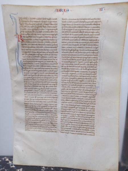 Pergament Gotik Vulgata Perlschrift 13. Jhdt!  Mittelalter ESRA Judaica gothic
