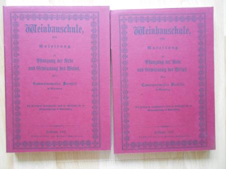 Wein -Anbau Koblenz Hochheim Dornfeld Weinsberg Bronner Oenologie wine vine vino