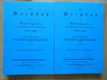 Wein -Anbau Koblenz Hochheim Dornfeld Weinsberg Bronner Oenologie wine vine vino