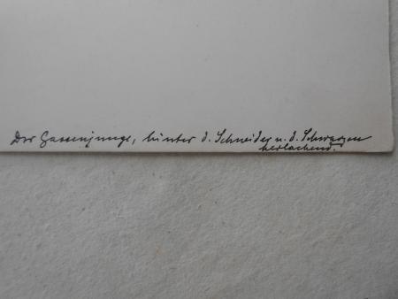 Ernst Liebermann Langemüß Otto Ludwig Aus dem Regen in die Traufe Seemann Verlag