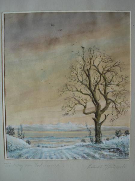 HELMUT STEINBACH Wintertag am Bodensee Bochum Hausach Fischerbach Schwarzwald