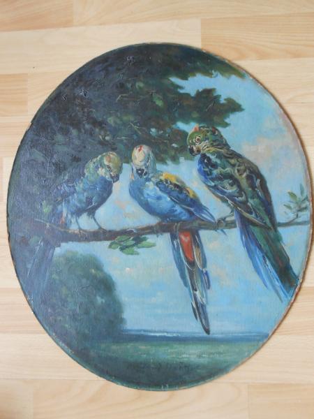 ALFRED SCHWEITZER München Papagei Königsamazonen Amazone Parrot parroquet 