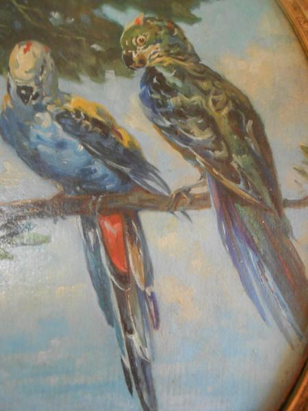 ALFRED SCHWEITZER München Papagei Königsamazonen Amazone Parrot parroquet 