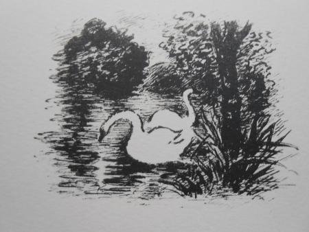 René DEMEURISSE Schwan Schwäne Swan Cygne Cigno 2 Lithografien von 1943
