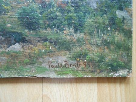 Paula Bonte Magdeburg Berlin Chicago Moränenfeld Chamonix Gletscher 1899 Alpen