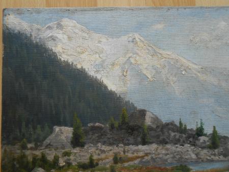 Paula Bonte Magdeburg Berlin Chicago Moränenfeld Chamonix Gletscher 1899 Alpen