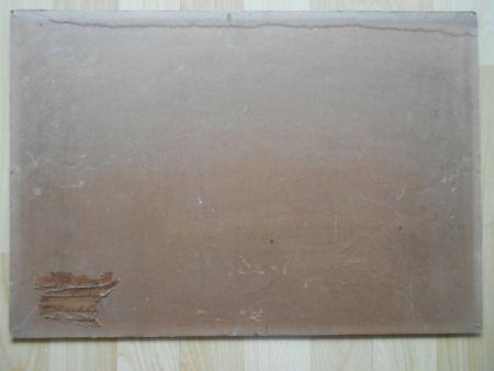 Paula Bonte Magdeburg Berlin Chicago Moränenfeld Chamonix Gletscher 1899 Alpen